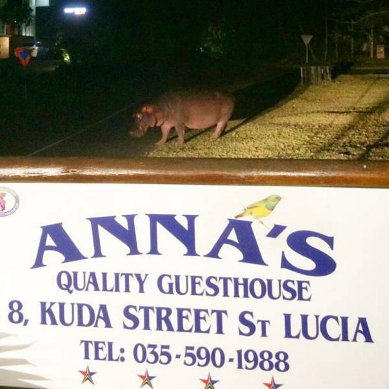 Annas Bed And Breakfast Saint Lucia Estuary Exteriör bild